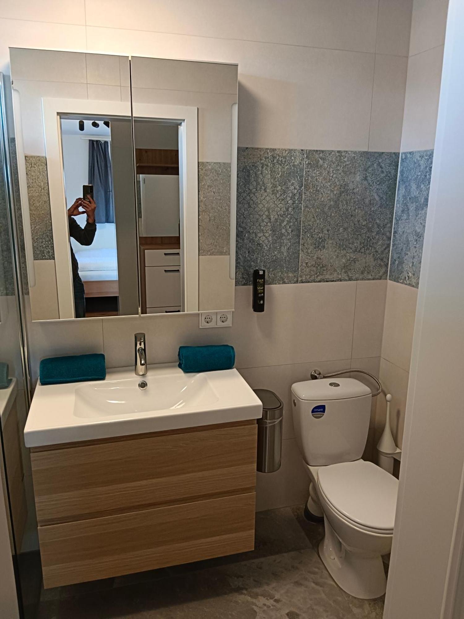 1 Zimmer Appartement Nahe Gmunden Top2 Pinsdorf エクステリア 写真